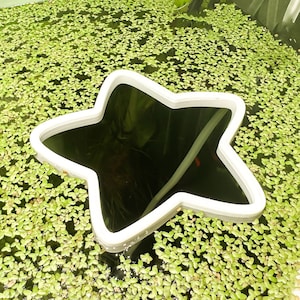 Fish Feeding Portal (Star) | ALGAE-RESISTANT Beta Training, Food Corral, Exclusion Zone