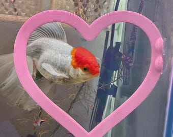 Heart Goldfish Swim Ring | Tank Decor & Enrichment Hoop | Suction Cup | ALGAE-RESISTANT Entertainment for Fish Aquariums