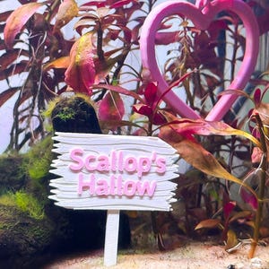 May include: A white sign with a jagged edge and the pink text Scallop's Hallow, mounted on a white stake. Above the sign hangs a pink heart-shaped frame. The items are positioned among red and green aquatic plants in a clear aquarium tank.