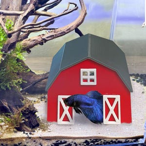 Enrichissement de décoration d'aquarium en peau de grange Betta/grotte | Décoration d'aquarium | Grotte aux poissons, cachette de grenouilles gobies et crevettes betta