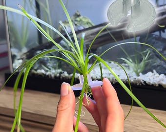 3ct Substrate Buddies | Freshwater Plant Plugs | Securely Hold Aquatic Plants in Substrate, Assists Rooting, Promotes Aquatic Plant Growth