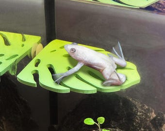 Monstera Leaf Frog Perch / Hammock for Bettas Blenny Dwarf Frog Decor & Enrichment | Suction Cup | ALGAE-RESISTANT | Entertainment for Fish