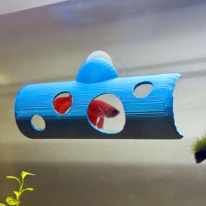 Betta Peak-a-boo Tunnel w/ Windows | Betta Hide Perch Decor & Enrichment | Suction Cup | ALGAE-RESISTANT | Entertainment for Fish Aquariums