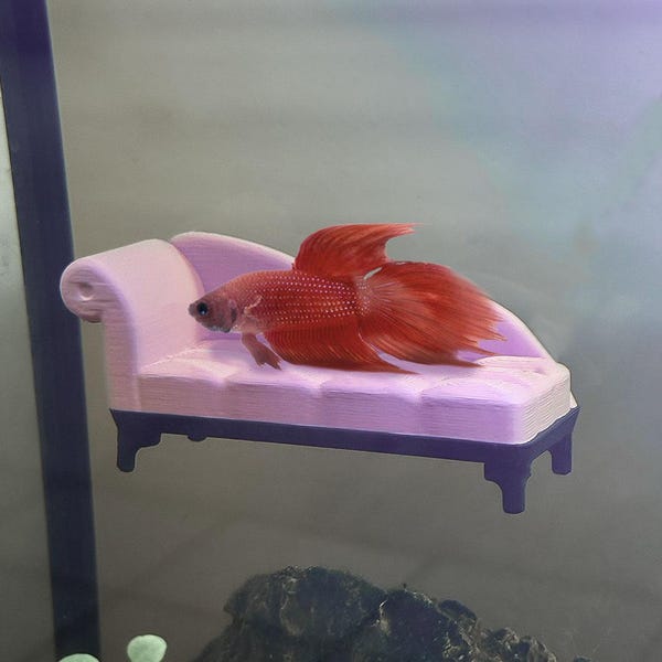 Chaise Lounge Perch / Hammock for Bettas Blenny Decor & Enrichment | Suction Cup | ALGAE-RESISTANT | Entertainment for Fish