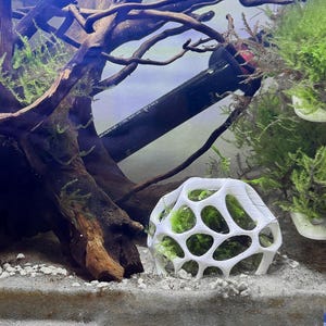 May include: A white, open-structured decorative aquarium ornament filled with green moss. The ornament is spherical with a geometric design. The background includes driftwood, aquatic plants, and a black aquarium heater.