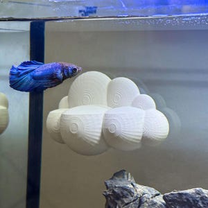 Cloud Perch / Hammock for Bettas Blenny Goby Decor & Enrichment | Suction Cup | ALGAE-RESISTANT | Entertainment for Fish