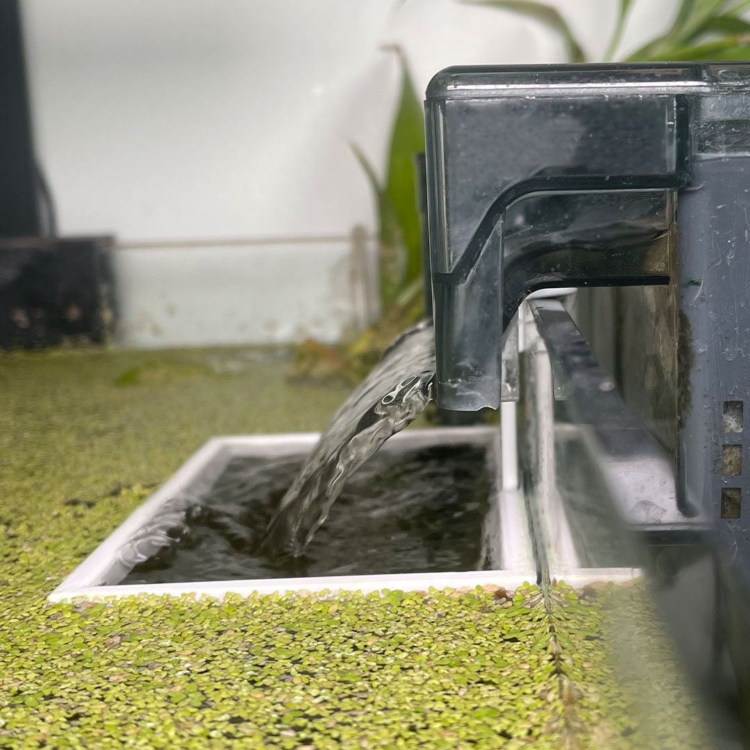 Tank Filter Corral Exclusion Zone ALGAERESISTANT Floating Plant