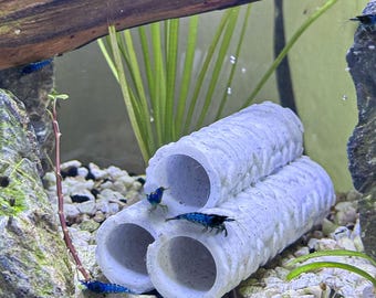 Shrimp Tubes for Aquariums – Natural Shrimp Hide, Shrimp Tank Decor, Shrimp Breeding | Neocaridina and Caridina