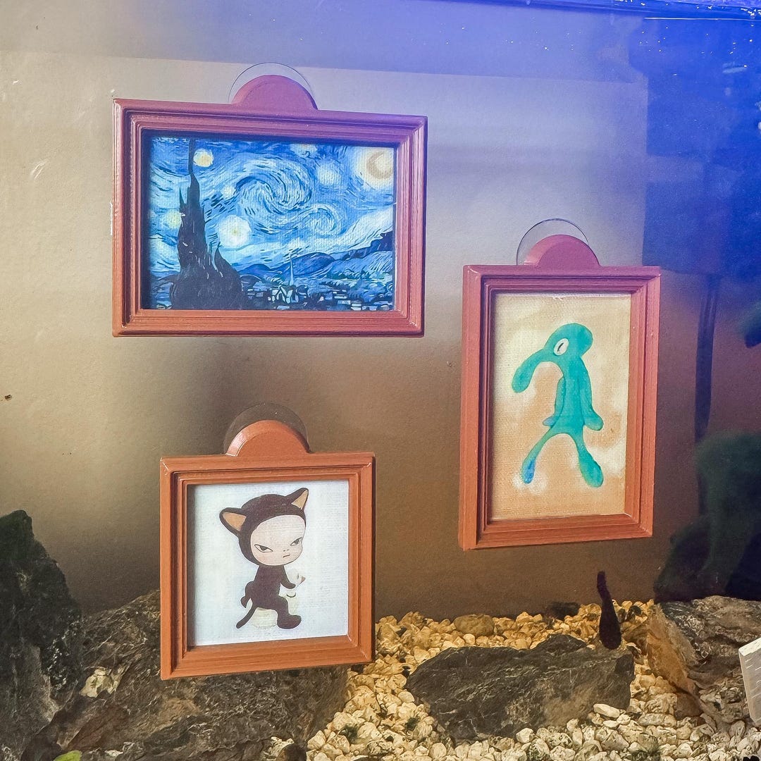 Curated visual reference: DIY Photo Frame Decoration For Aquarium Reference: Personalized Art Frame For Fishtanks Aquariums Reptiles Inverts And