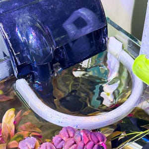 May include: A dark blue aquarium hang-on-back filter with a clear, semi-circular plastic floating ring positioned on the water surface. The filter unit is mounted on the glass edge, with water flowing into the tank, creating ripples within the ring.