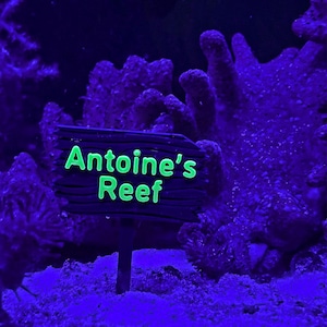 Personalized UV Reactive Wooden Sign for Reef Tanks Fishtanks, Aquariums, Reptiles, Inverts, and Amphibians