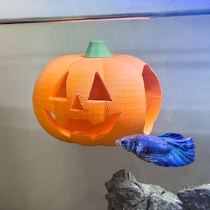 Halloween Jack-O-Lantern Hide / Perch for Bettas Blenny Goby Decor & Enrichment | Suction Cup Betta Entertainment