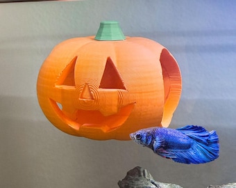 Halloween Jack-O-Lantern Hide / Perch for Bettas Blenny Goby Decor & Enrichment | Suction Cup Betta Entertainment