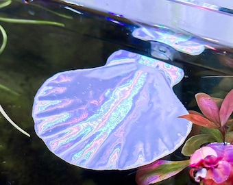 Muschel-Betta-Sitzplatz / Betta-Bett / Hängematte für Betta-Schleimfische | ALGENRESISTENT | Unterhaltung für Aquarien