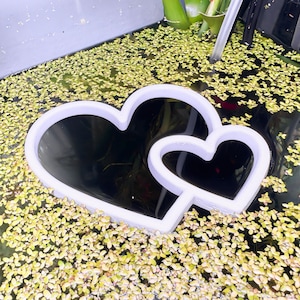 Fish Feeding Portal (Hearts) | No Sink Guarantee | Beta Training, Food Corral, Exclusion Zone