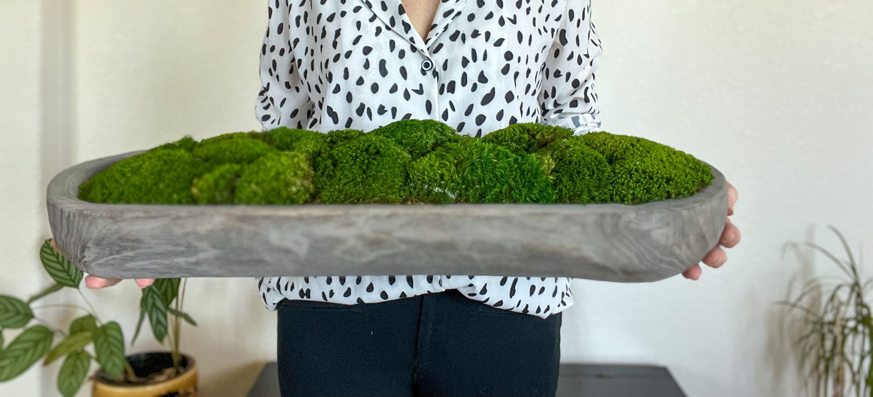 40 Moss Bowl Centerpiece – HollyBee and Company