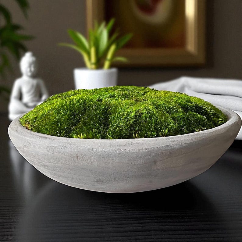 Preserved Moss Bowl Coffee Table Centerpiece Modern Home Decor Nature ...