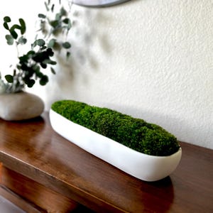 以下が含まれることがあります： 鮮やかな緑色のプリザーブドモスが詰められた、長く細い白いセラミック製のプランター。プランターは滑らかで丸みを帯びた長方形をしており、容器の中には自然な緑色の苔が密集し、質感のある層となって収められています。