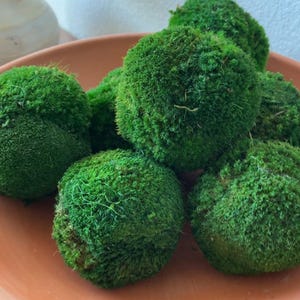 Moss Sphere Bowl Filler Maintenance Free Home Accent Holiday Christmas Table Decor Gift Natural Moss Ball Fairy Garden Rustic Wedding Accent