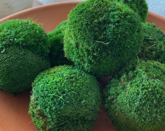 Moos Kugel Schüssel Füller Wartungsfrei Haus Akzent Urlaub Weihnachten Tisch Dekoration Geschenk Natürliche Moos Ball Fee Garten Rustikaler Hochzeitsakzent