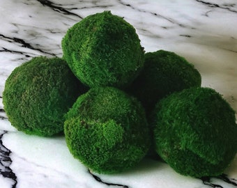Preserved moss balls for home decor Luxury green preserved moss sphere for interiors Eco-friendly moss orb for tables Handmade nature decor