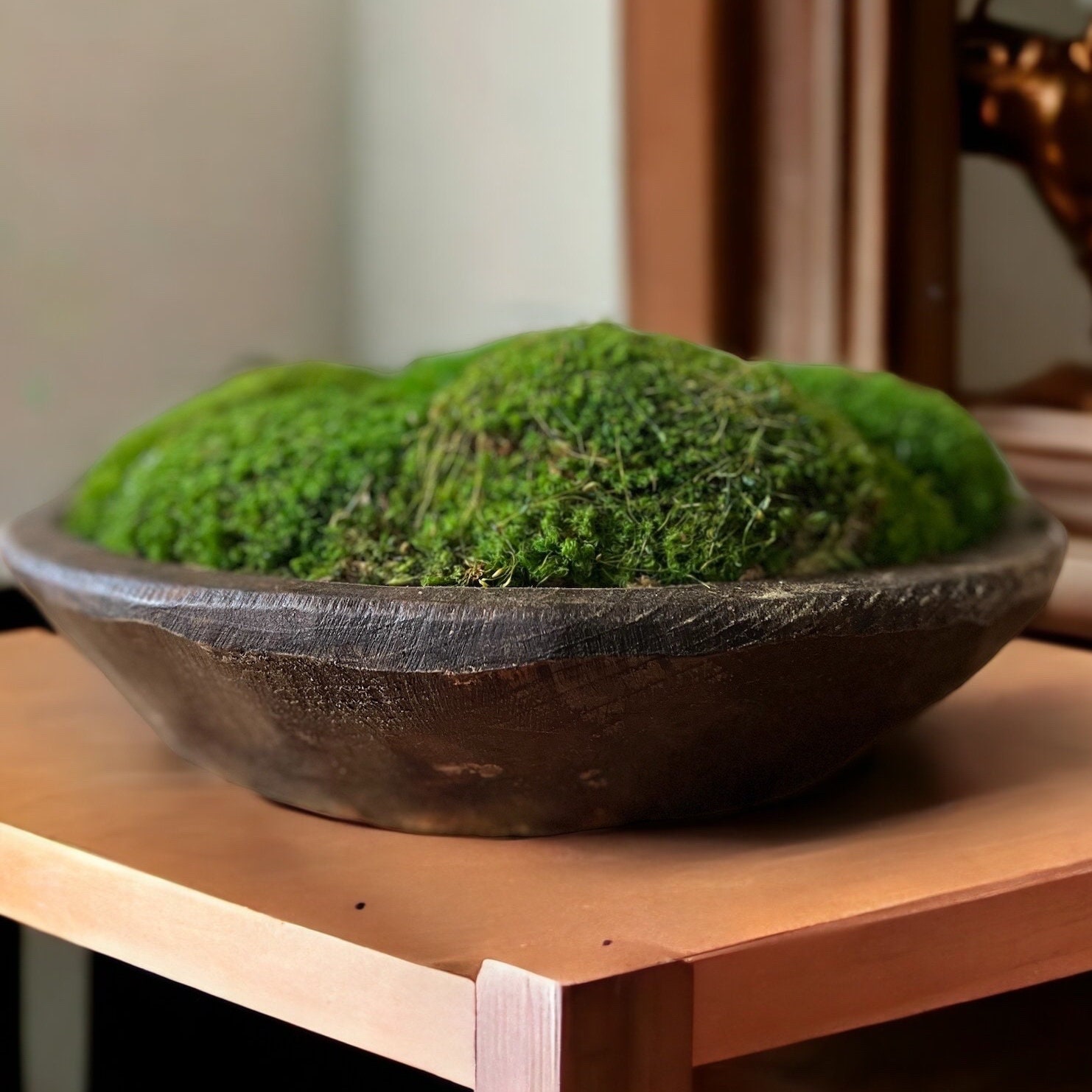 Long Moss Centerpiece for Table Moss Decoration Moss Bowl