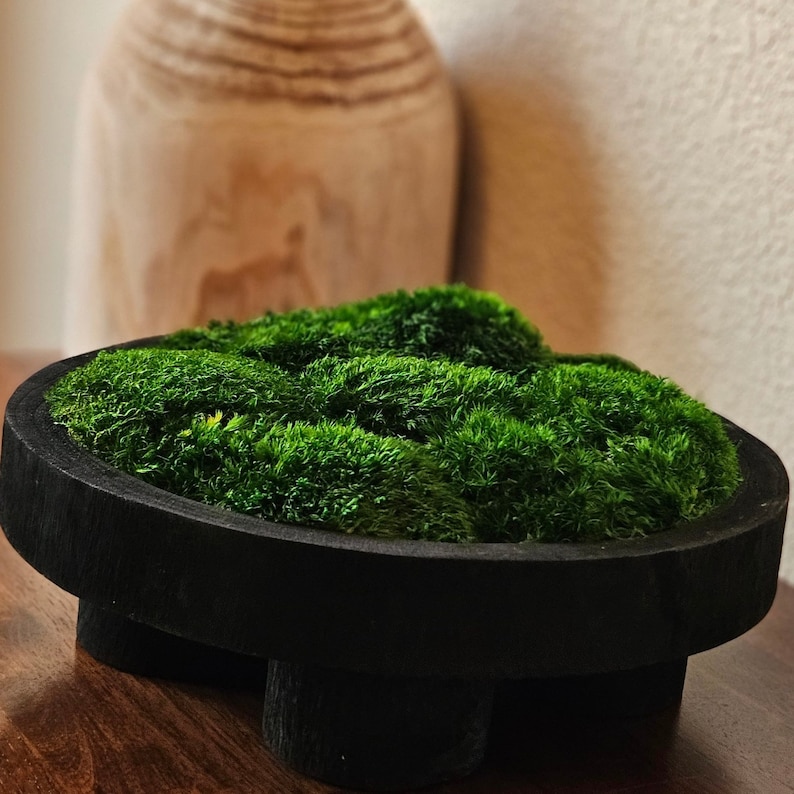 Moss Centerpiece Preserved Moss Bowl Black Pedestal Bowl Table Centerpiece Dining Table Centerpiece Minimalist Decor Nature Inspired Decor Accent Table Decor