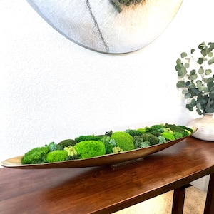 May include: A close-up of a brown oval-shaped planter with a green moss plant inside. The planter is sitting on a wooden surface.