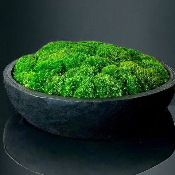 Moss Bowl Arrangement for Table Large Moss Centerpiece for Dining Table  Centerpiece Bowl for Moss in Modern Bowl Preserved Moss Black Bowl 