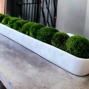 Greenery Minimalist Home Sleek Office Design Nature Inspired Decor Interior Design Accent Long Lasting Centerpiece Office Plant Alternative Modern Nature Decor Preserved Plant Decor moss Plant
