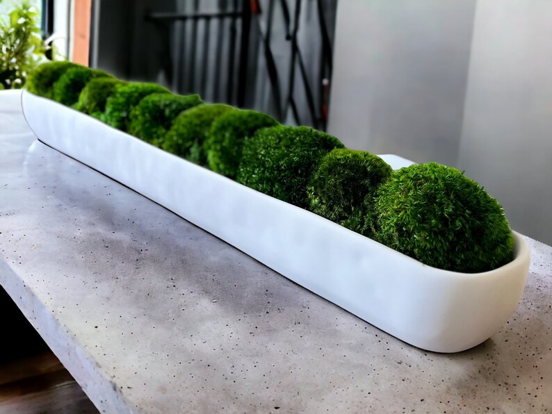 Greenery Minimalist Home Sleek Office Design Nature Inspired Decor Interior Design Accent Long Lasting Centerpiece Office Plant Alternative Modern Nature Decor Preserved Plant Decor moss Plant