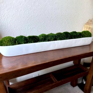 Resin Trough Planter Preserved Moss Arrangement Indoor Nature Display Urban Living Decor Apartment Decor Sustainable Decor Contemporary Home Accent Reception Area Decor Eco Friendly Decor Minimalist Plant Decor