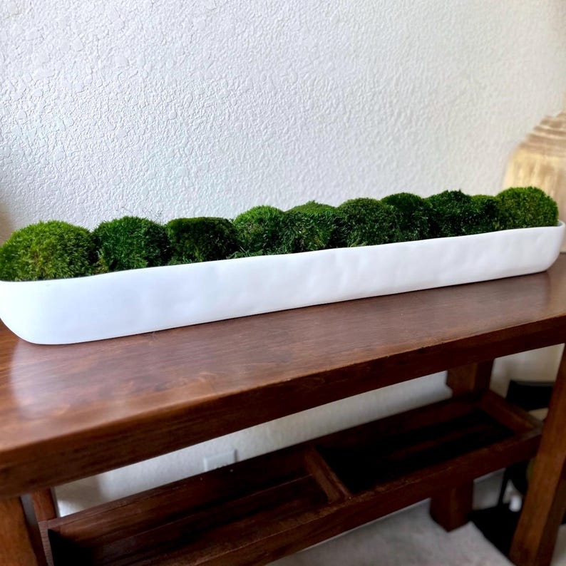 Resin Trough Planter Preserved Moss Arrangement Indoor Nature Display Urban Living Decor Apartment Decor Sustainable Decor Contemporary Home Accent Reception Area Decor Eco Friendly Decor Minimalist Plant Decor