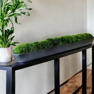 Op de afbeelding: Een lange, zwarte plantenbak gevuld met groen mos staat op een zwarte metalen tafel. De plantenbak is ovaalvormig en heeft een gladde, matte afwerking.