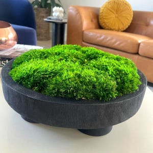 Bewaarde mos middelpunt salontafel decor modern interieur zwart voetstuk kom natuurlijke plant accent tafel Boho natuur housewarming cadeau