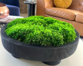 Preserved Moss Centerpiece Coffee Table Decor Modern Home Decor Black Pedestal Bowl Natural Plant Accent Table Boho Nature Housewarming Gift