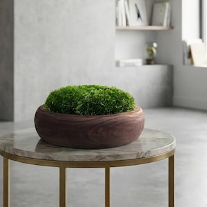 Puede incluir: Un cuenco redondo de madera marrón oscuro lleno de musgo verde denso y vibrante. El cuenco tiene un acabado liso y pulido con patrones de veta de madera visibles, y el musgo forma un montículo redondeado y texturizado al ras del borde.