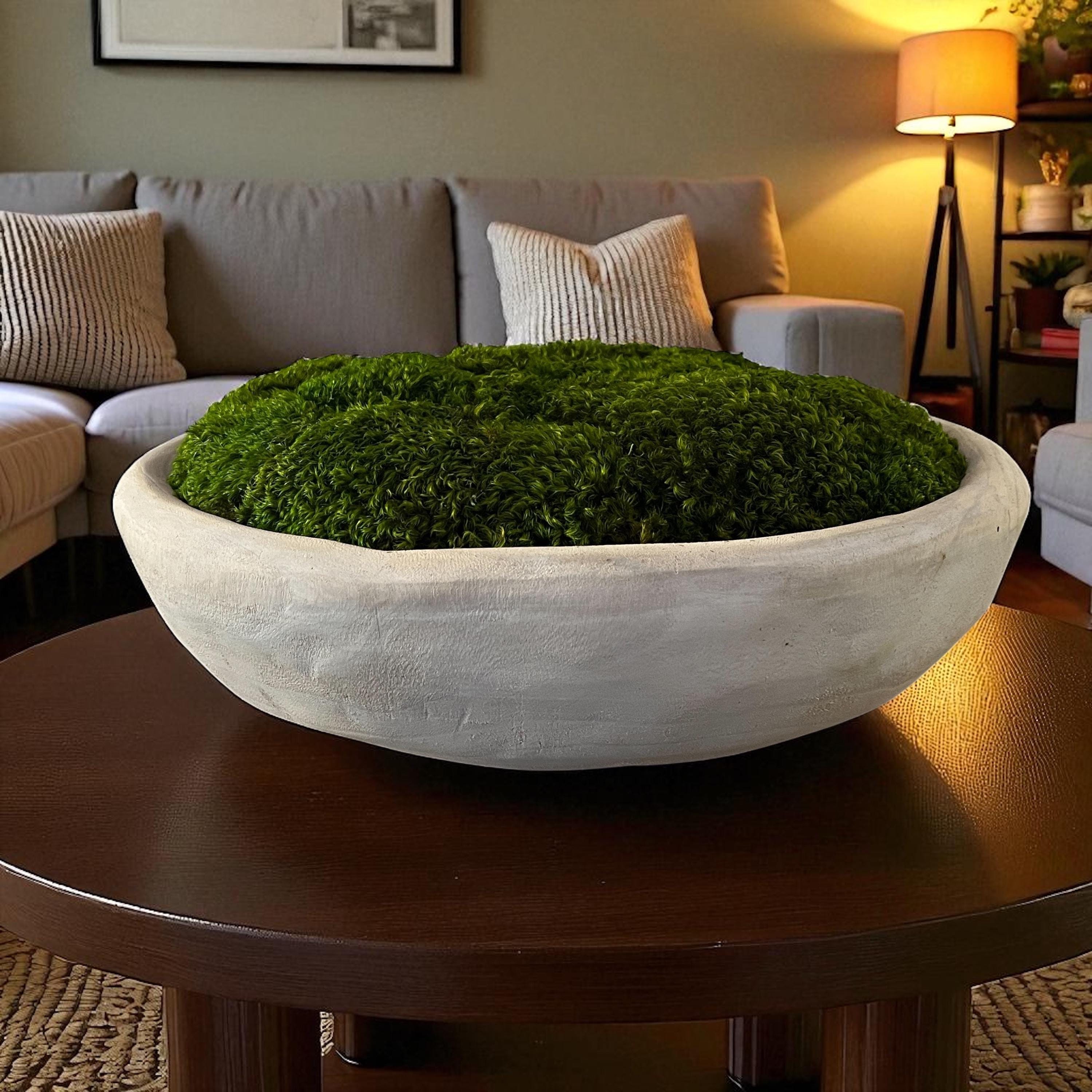 Preserved Moss Bowl Coffee Table Centerpiece Modern Home Decor Nature ...