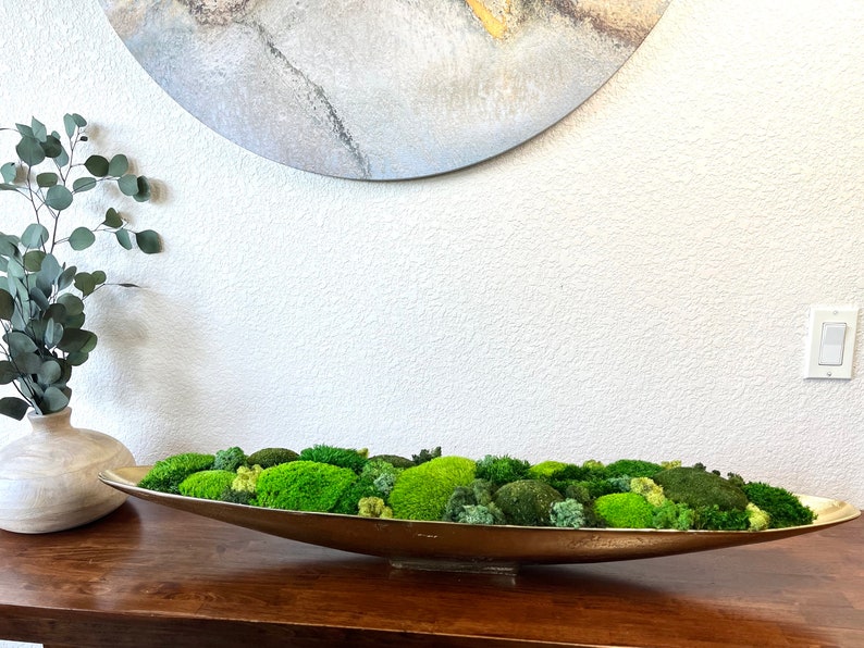 Modern Botanical Decor Customizable Moss Colors Versatile Home Decor Indoor Greenery No Maintenance Plants Nature Inspired Decor Interior Design Accent Housewarming Gift