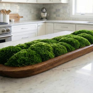 Extra-Large 40 inch Handmade Wood Bowl with Preserved Moss – Rustic, Low-Maintenance Table Accent Dark Teak Wood