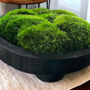 May include: A circular black bowl with a thick rim and a central pedestal base, filled with dense, vibrant green moss. The moss has a textured, tufted appearance and is arranged to fill the entire interior of the dark, matte-finished container.