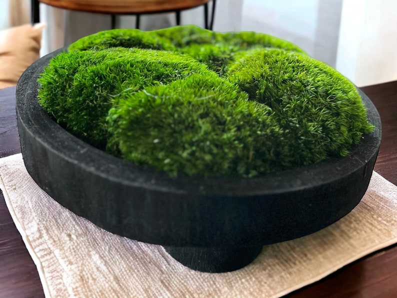 May include: A circular black bowl with a thick rim and a central pedestal base, filled with dense, vibrant green moss. The moss has a textured, tufted appearance and is arranged to fill the entire interior of the dark, matte-finished container.
