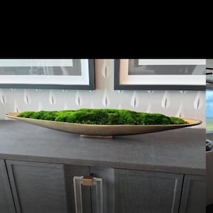 May include: A long, shallow, metallic gold-toned oval bowl filled with a dense layer of vibrant green preserved moss. The bowl features a smooth, curved exterior and sits horizontally, showcasing a naturalistic texture within the vessel.