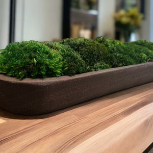 Preserved Moss Centerpiece Table Decoration Farmhouse Style Rustic Decor Wedding Reception Table Arrangement Natural Green Botanical Display