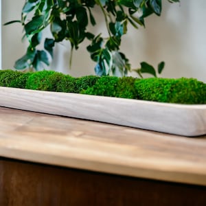 Natural Wood Moss Bowl Eco-friendly Home Accent Sustainable Decor Biophilic Design Paulownia Wood Wedding Centerpiece Rustic Handmade Decoration Coffee Table Decor Gift Interior Design