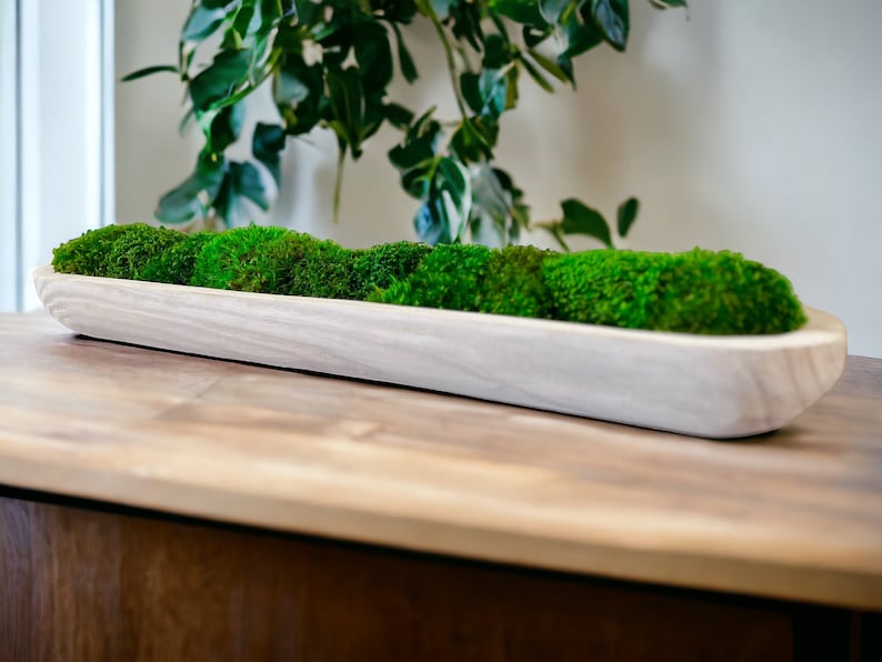 Natural Wood Moss Bowl Eco-friendly Home Accent Sustainable Decor Biophilic Design Paulownia Wood Wedding Centerpiece Rustic Handmade Decoration Coffee Table Decor Gift Interior Design