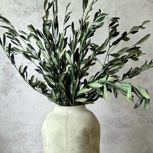 May include: A tall, textured, light beige vase with a wide, rounded body and a narrow neck, filled with a large arrangement of dark green olive branches featuring slender, pointed leaves that spread outward in multiple directions.