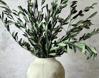 May include: A tall, textured, light beige vase with a wide, rounded body and a narrow neck, filled with a large arrangement of dark green olive branches featuring slender, pointed leaves that spread outward in multiple directions.