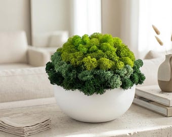 May include: A rounded white ceramic bowl filled with a dense cluster of preserved reindeer moss in varying shades of vibrant lime green and deep forest green, creating a textured, dome-shaped arrangement that sits as a decorative centrepiece.