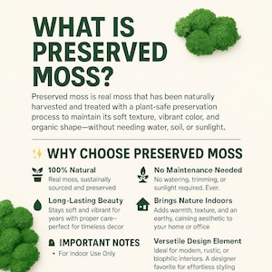 May include: An informational graphic titled WHAT IS PRESERVED MOSS? with text explaining the preservation process. It lists benefits like 100% natural, no maintenance, long-lasting beauty, and indoor use, accompanied by green moss clusters.